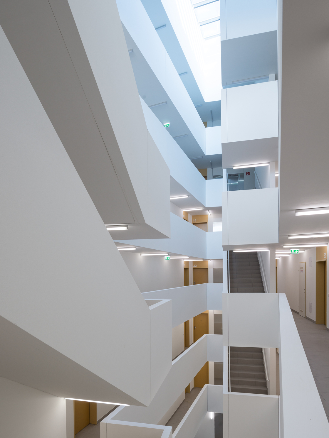 Ein Foto von Lukas Schaller