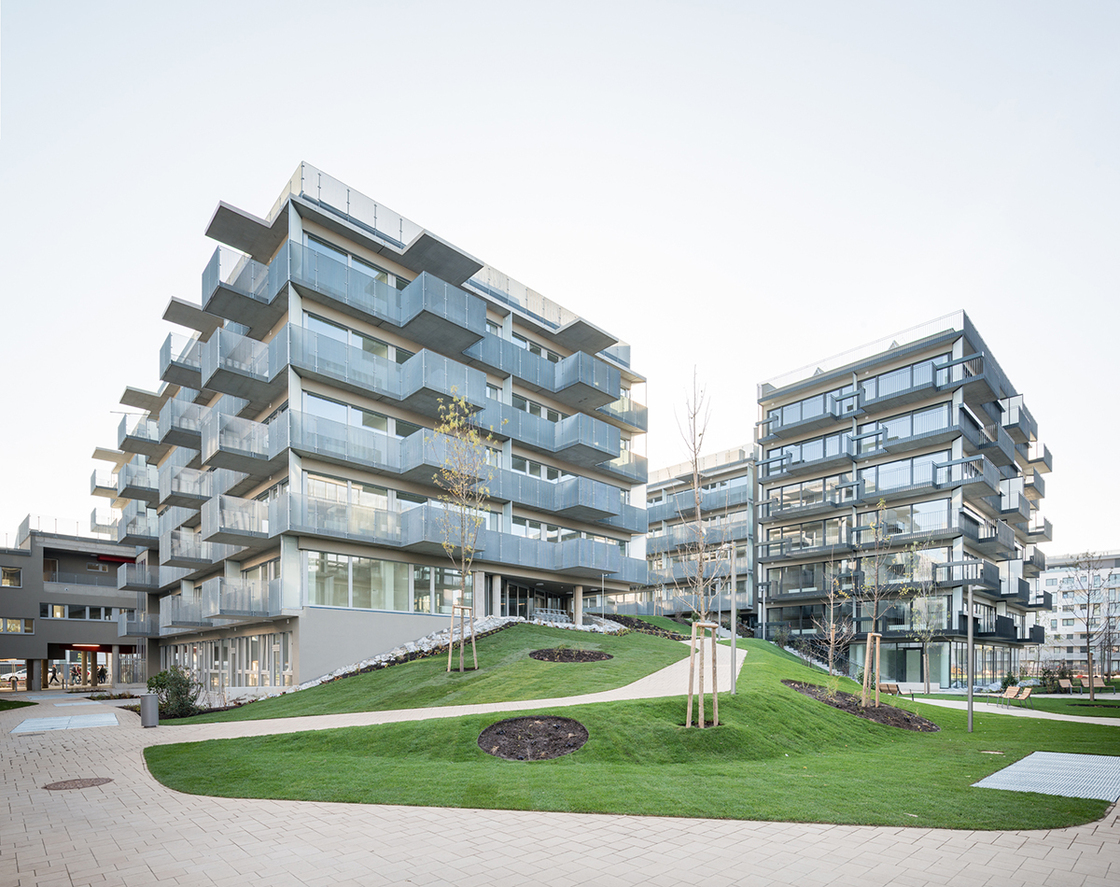 Ein Foto von Lukas Schaller