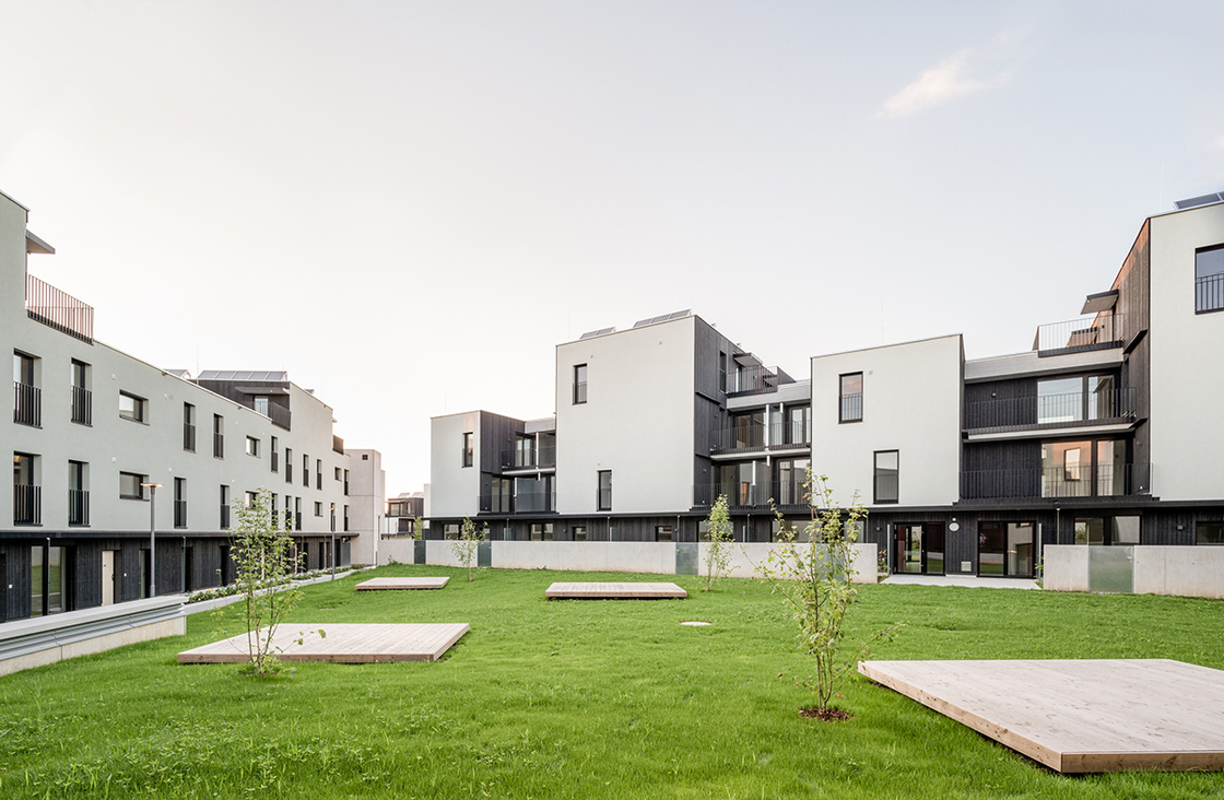 Ein Foto von Lukas Schaller