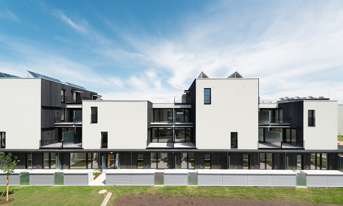 Ein Foto von Lukas Schaller