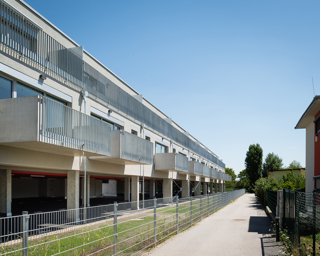 Ein Foto von Lukas Schaller