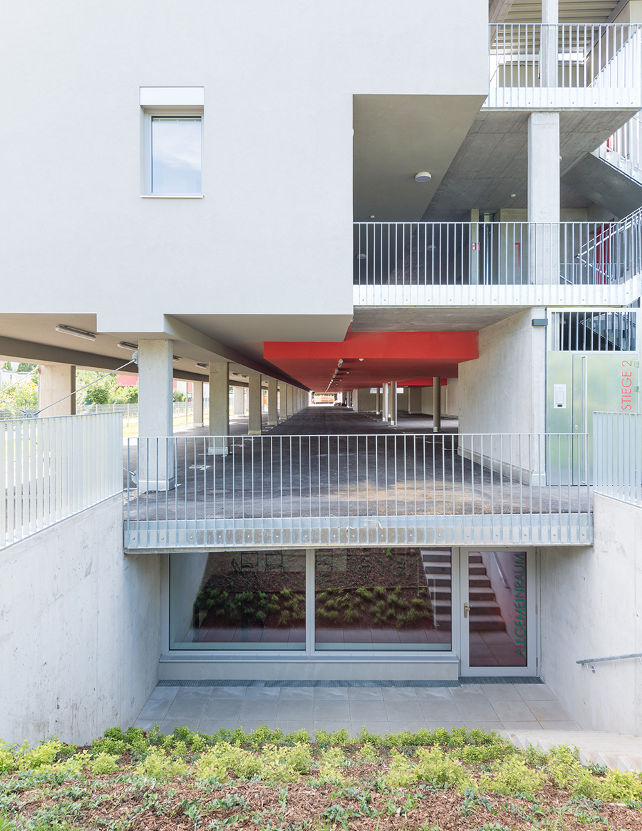 Ein Foto von Lukas Schaller