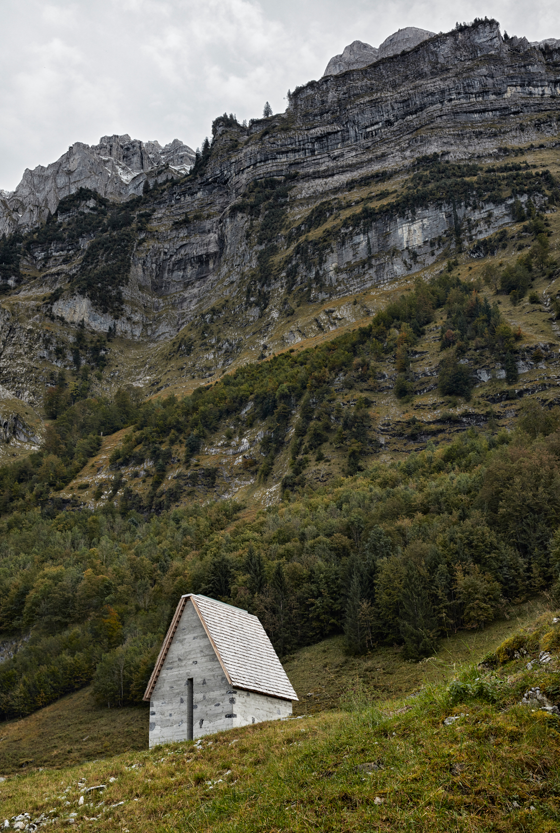 Ein Foto von Adolf Bereuter