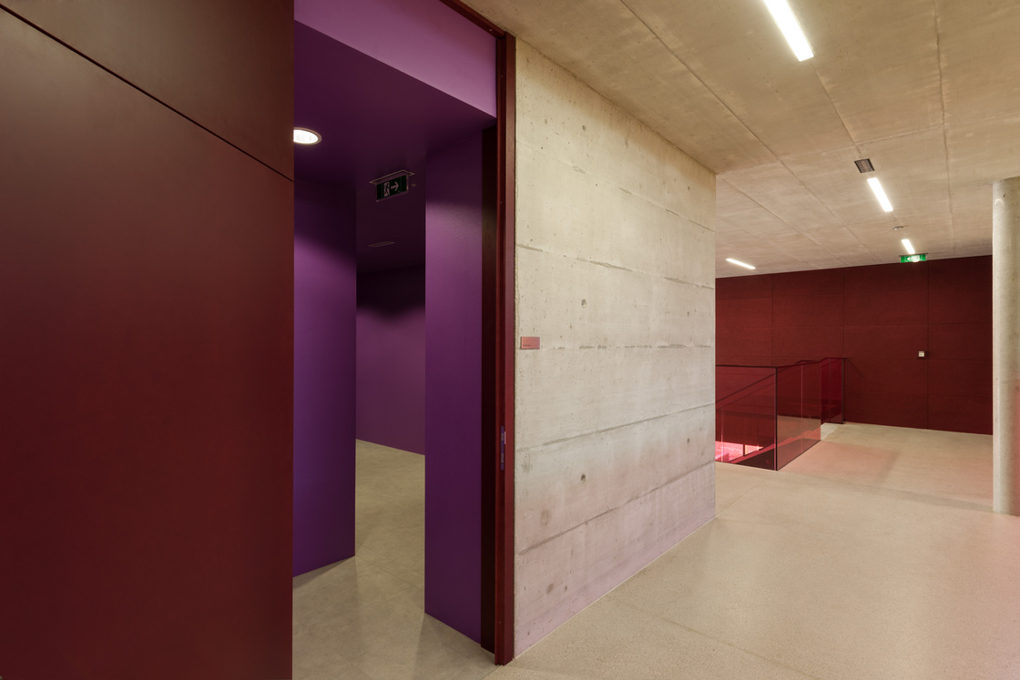 Ein Foto von Walter Ebenhofer