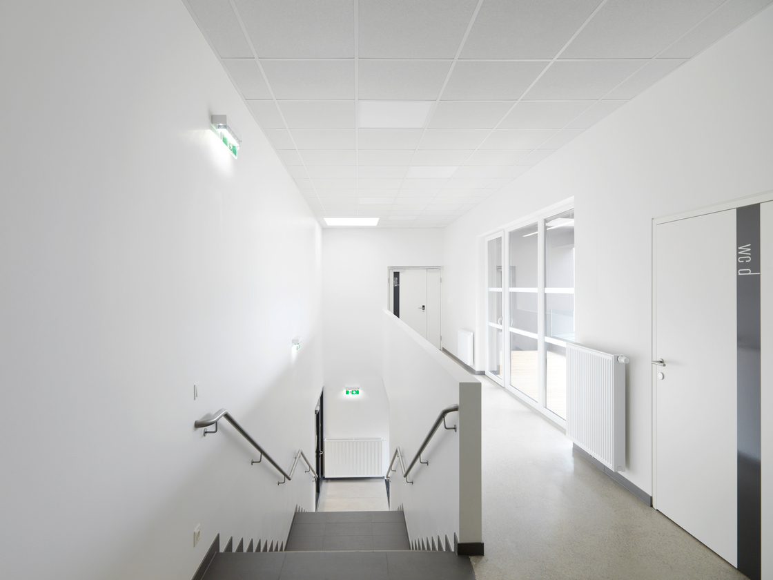 Ein Foto von Paul Ott