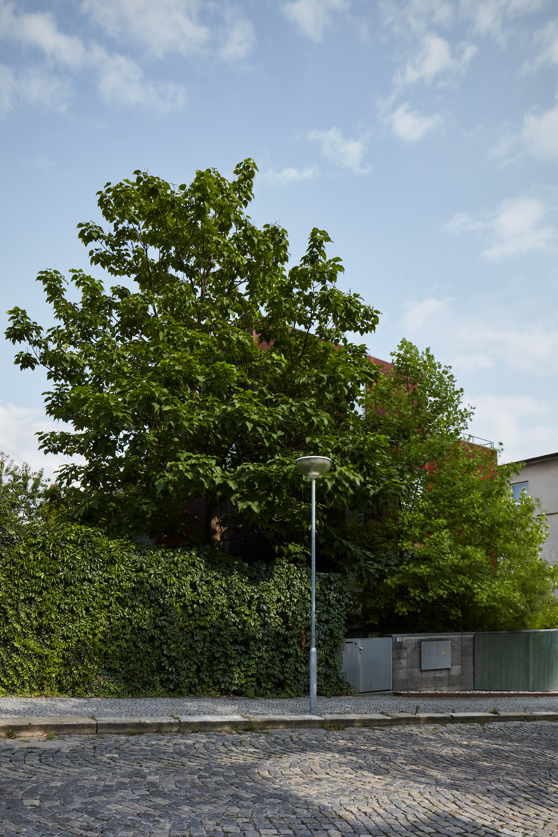 Ein Foto von BoysPlayNice