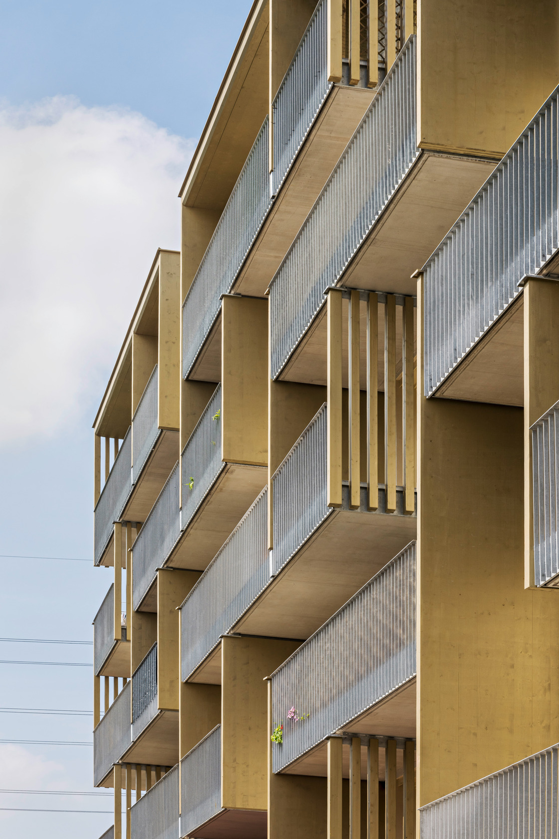 Ein Foto von Hertha Hurnaus