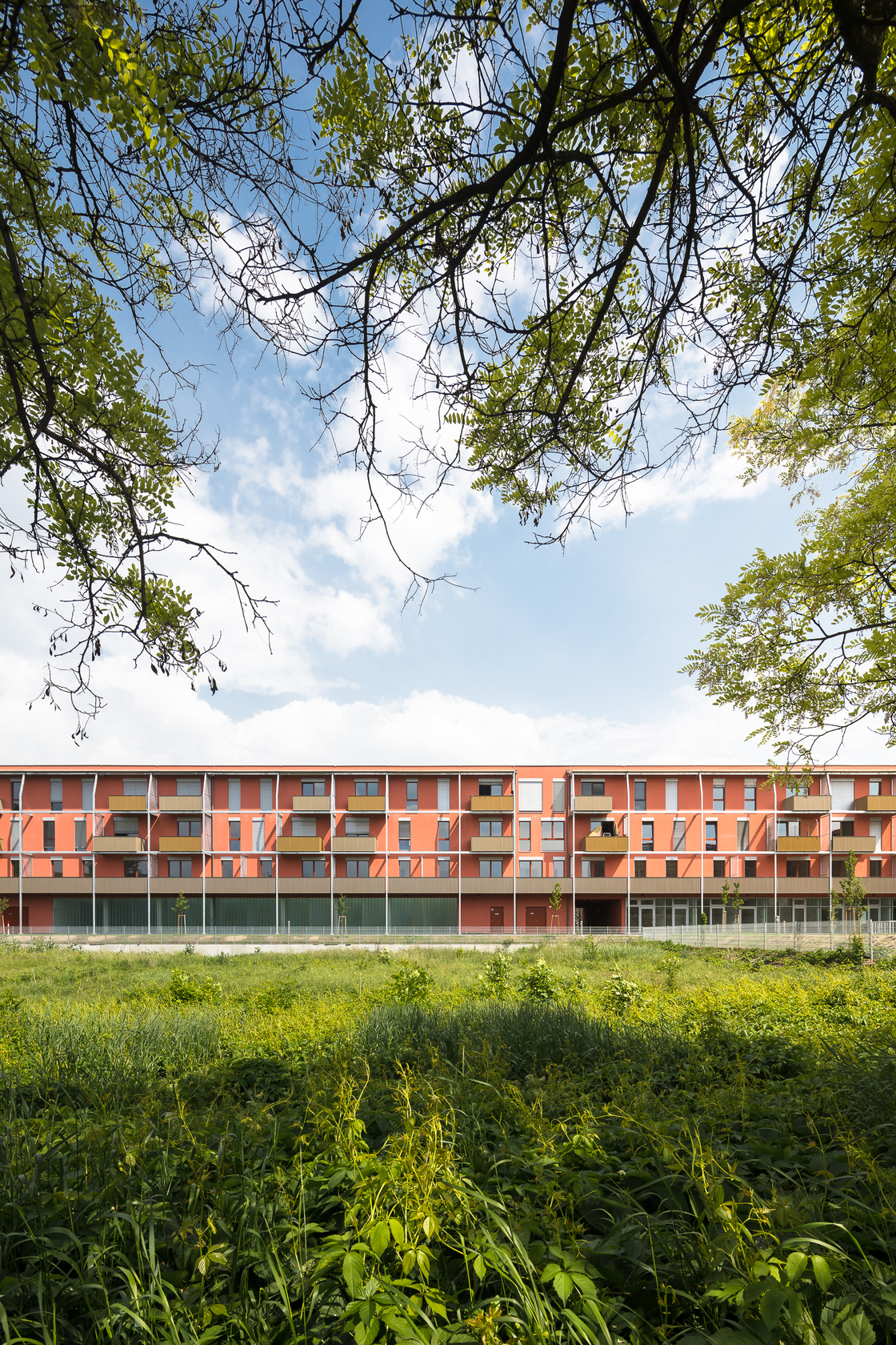 Ein Foto von Daniel Hawelka