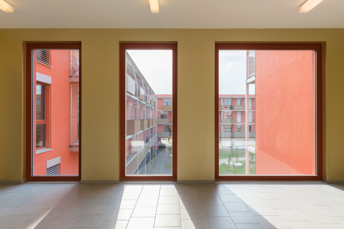 Ein Foto von Daniel Hawelka