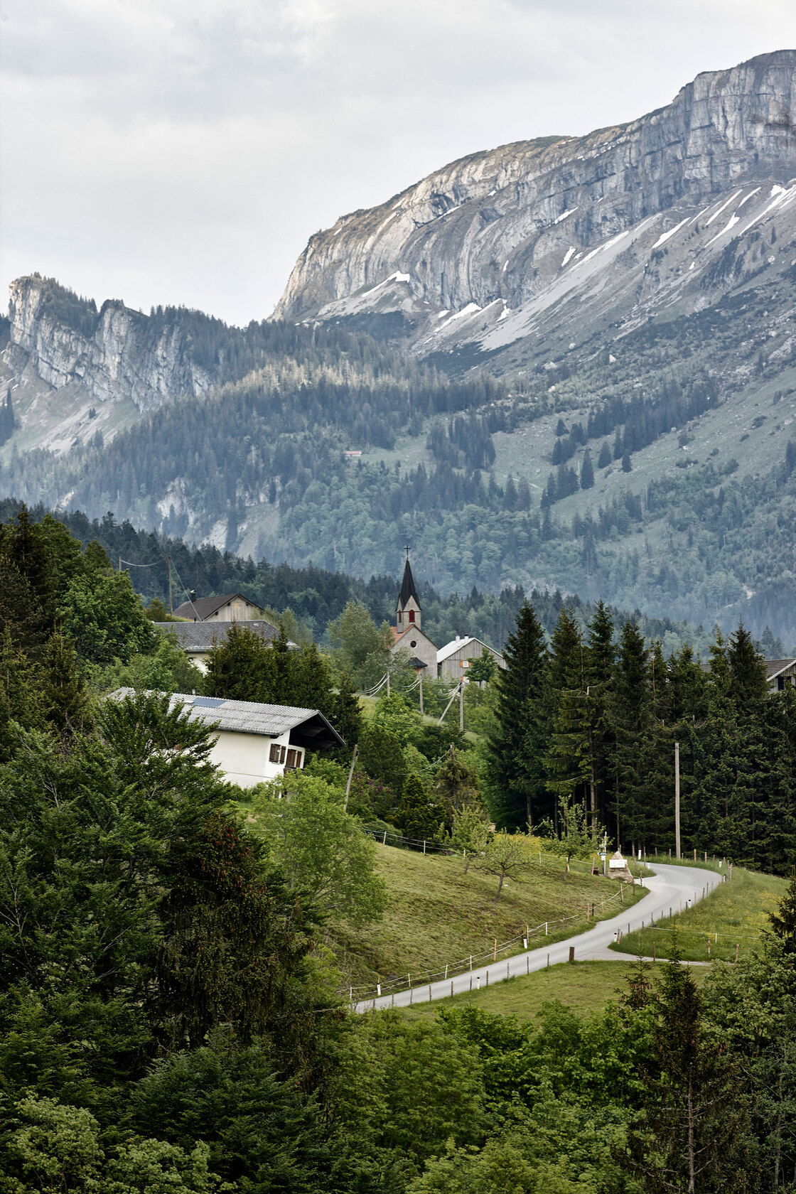 Ein Foto von Adolf Bereuter