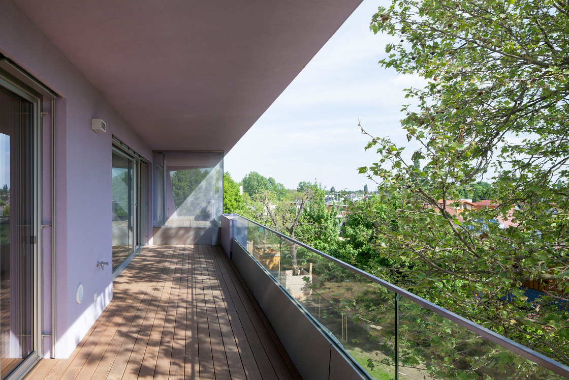 Ein Foto von Rupert Steiner