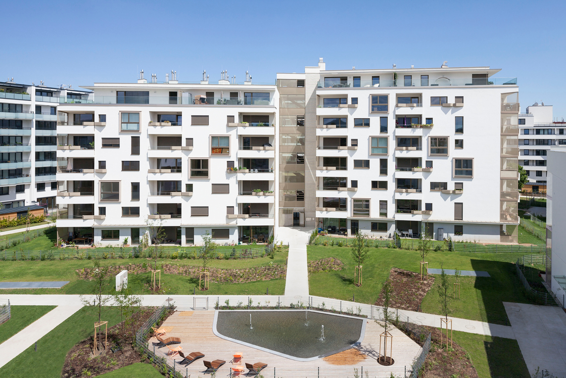 Ein Foto von Rupert Steiner