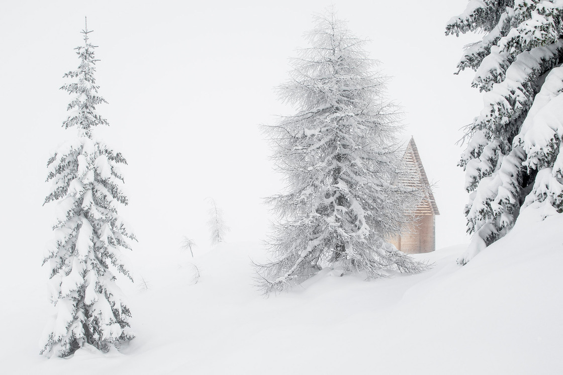 Ein Foto von Albrecht Imanuel Schnabel