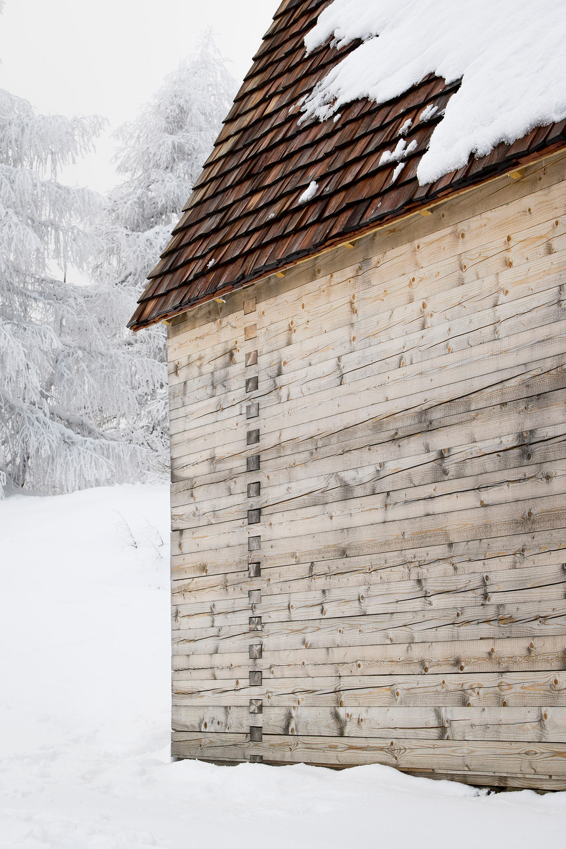 Ein Foto von Albrecht Imanuel Schnabel