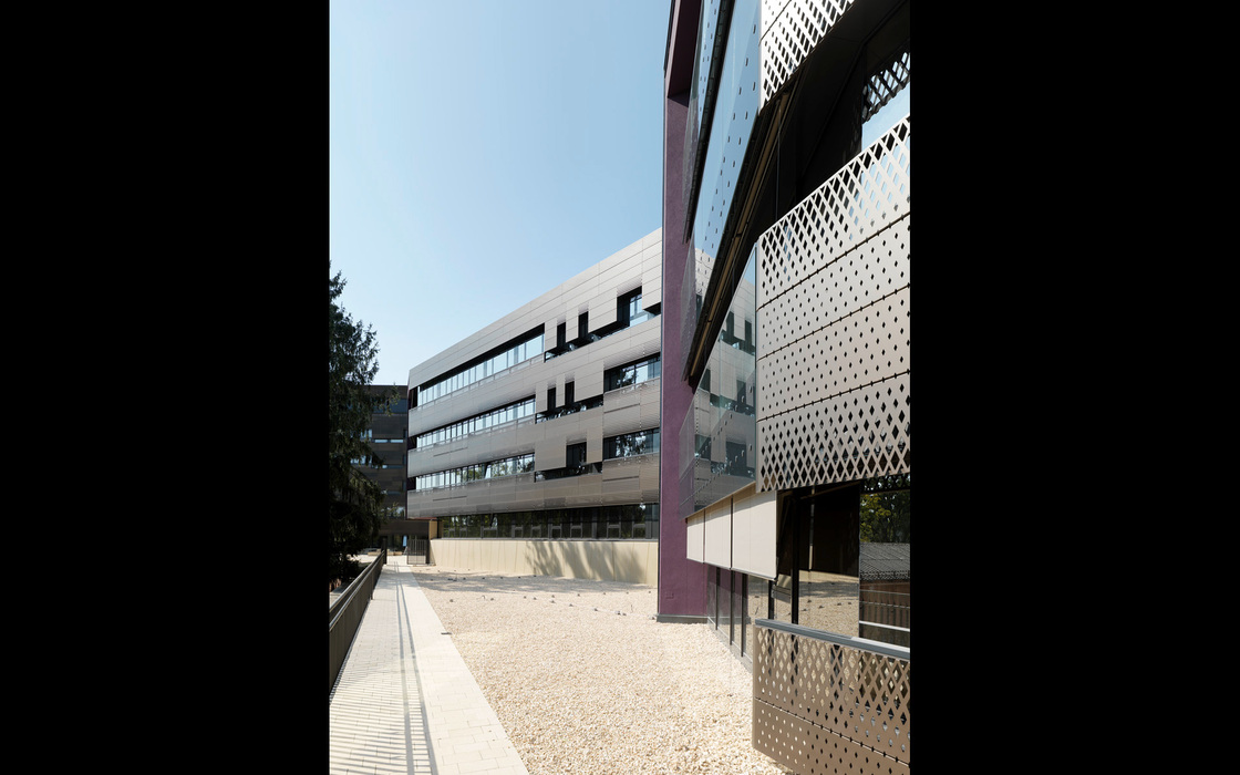 Ein Foto von Paul Ott