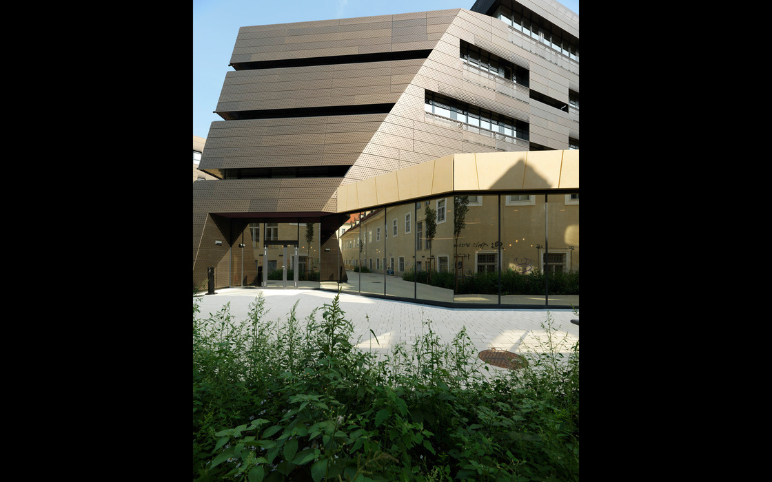 Ein Foto von Paul Ott