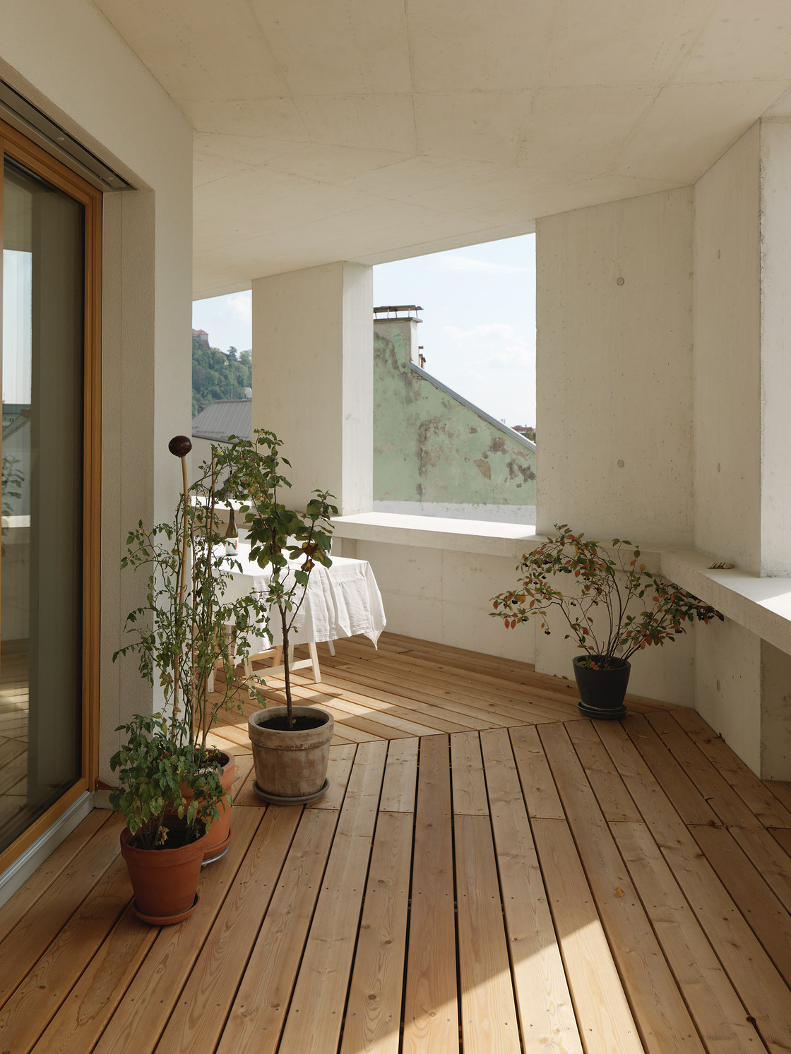 Ein Foto von Paul Ott