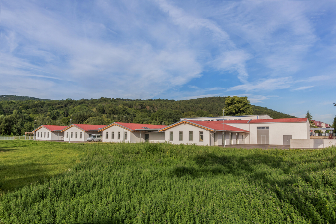 Ein Foto von David Faber