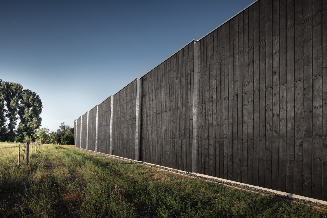 Ein Foto von Rui Camilo