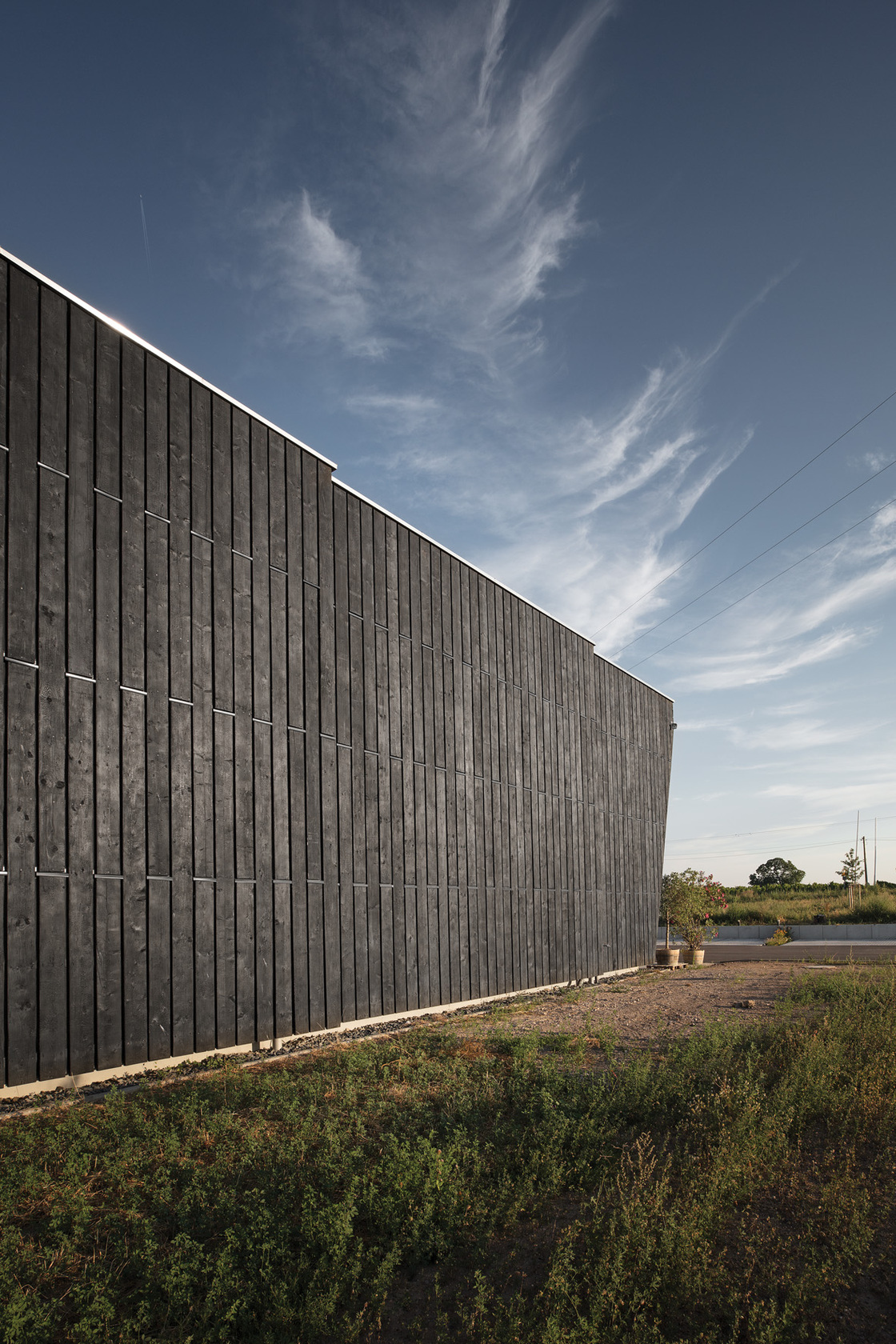 Ein Foto von Rui Camilo