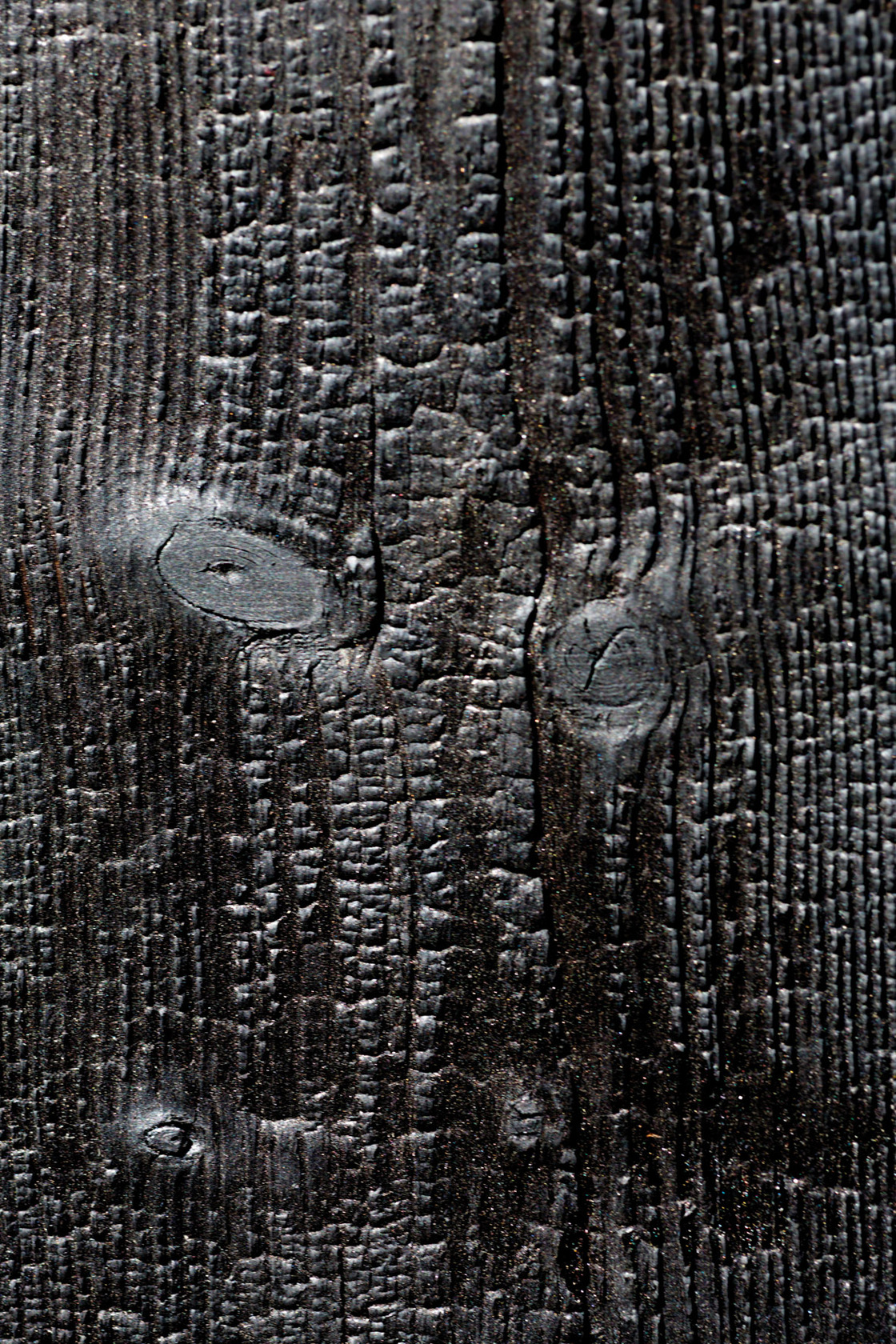 Ein Foto von Rui Camilo