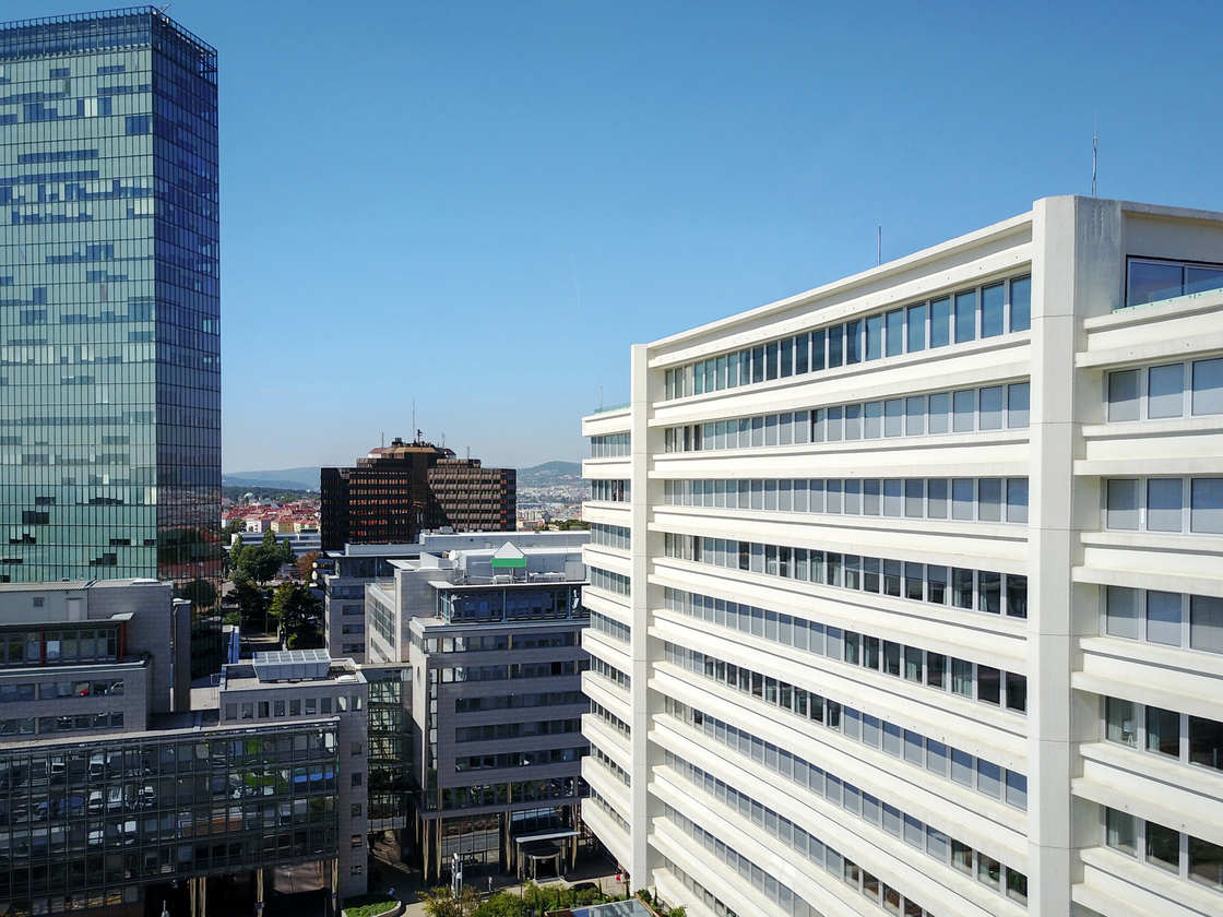 Ein Foto von Leo Fellinger