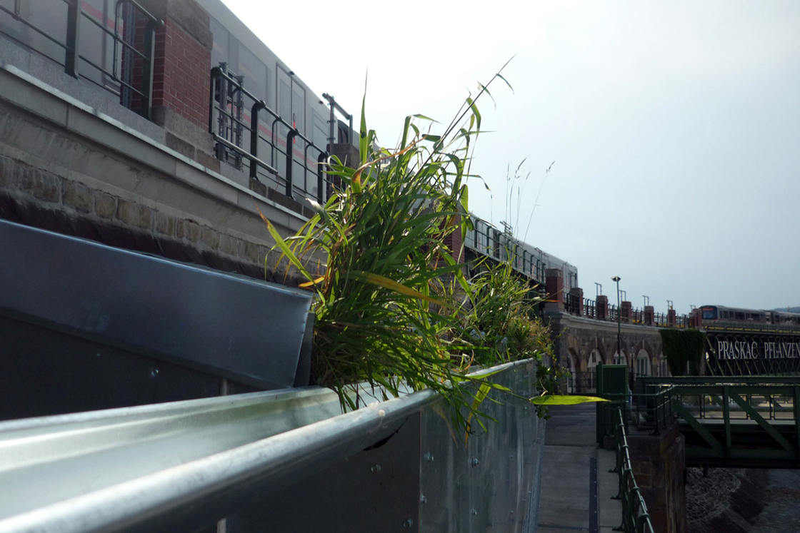 Ein Foto von gaupenraub+/-