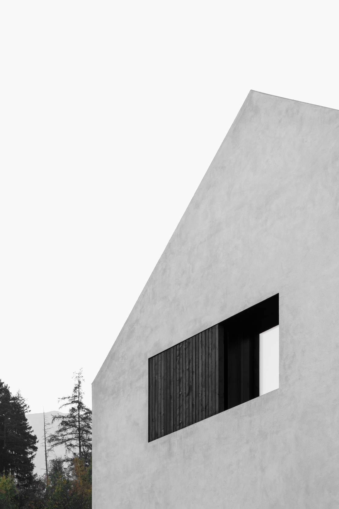 Ein Foto von Gustav Willeit