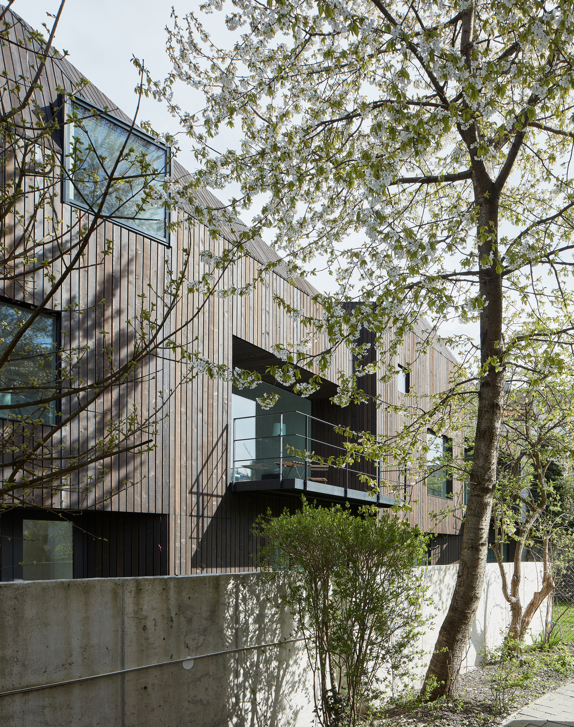 Ein Foto von David Schreyer