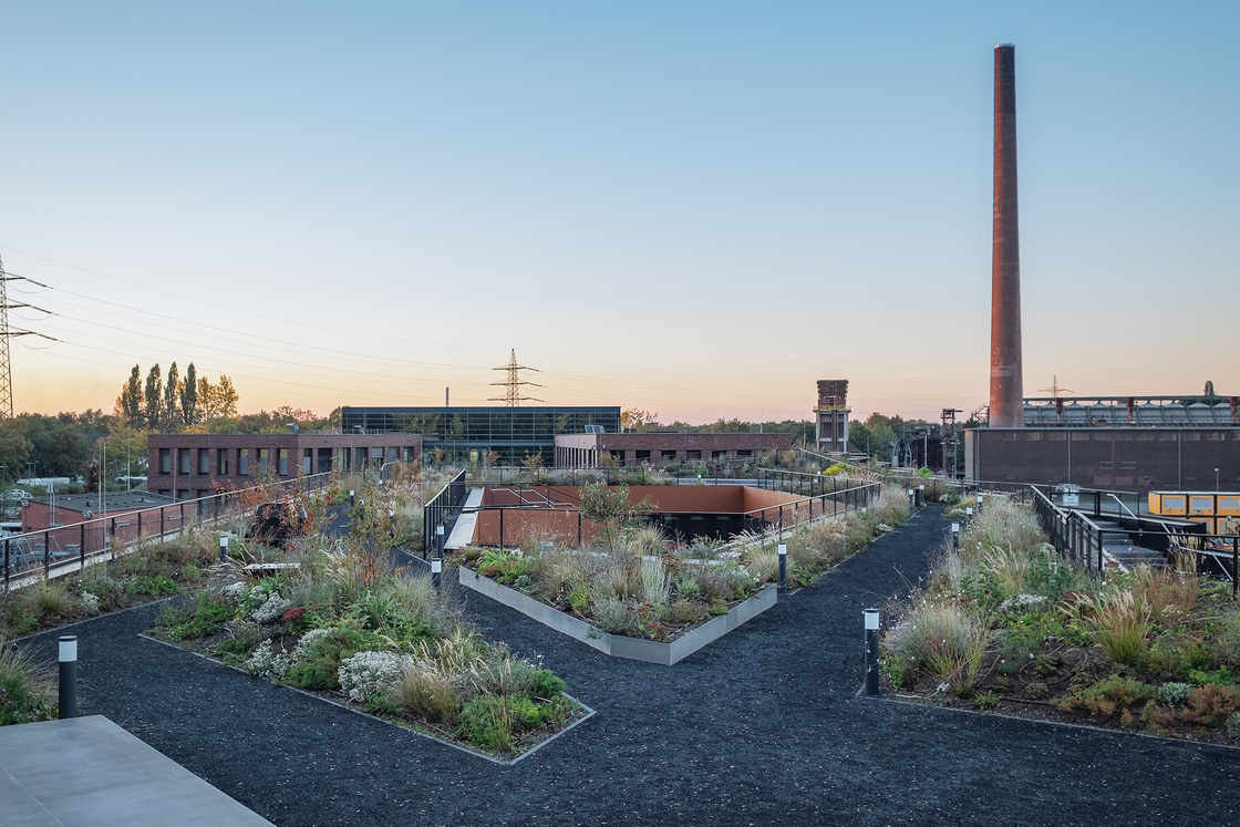 Ein Foto von Nikolai Benner