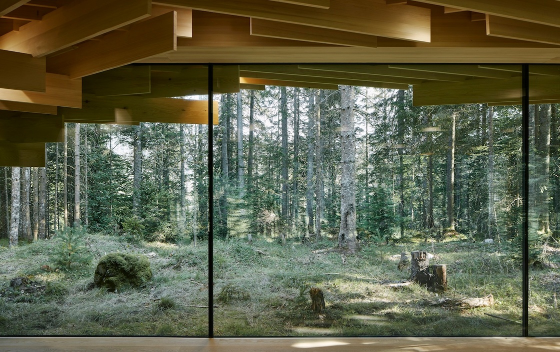 Ein Foto von David Schreyer