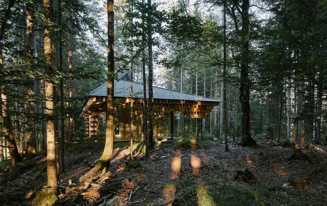 Ein Foto von David Schreyer