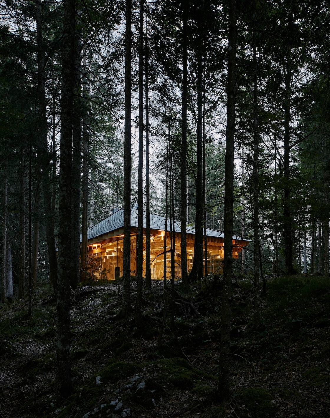 Ein Foto von David Schreyer