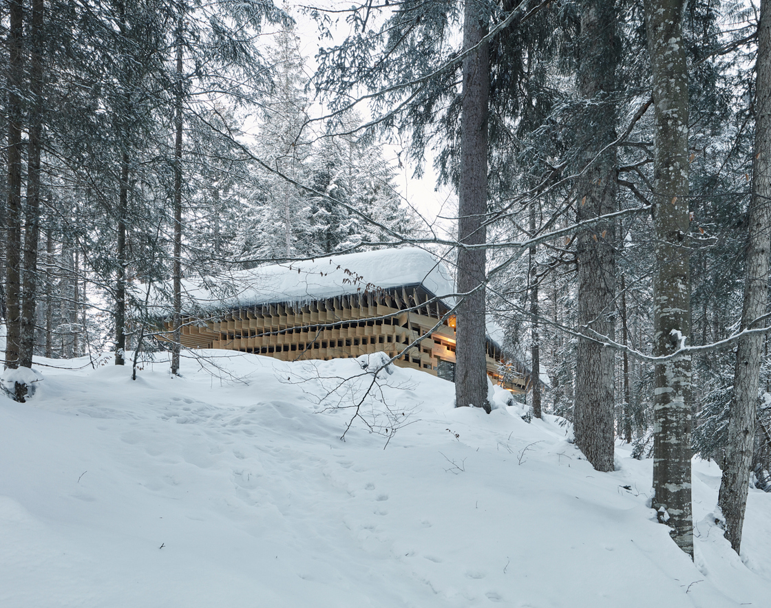 Ein Foto von David Schreyer