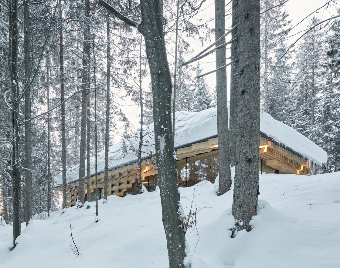 Ein Foto von David Schreyer