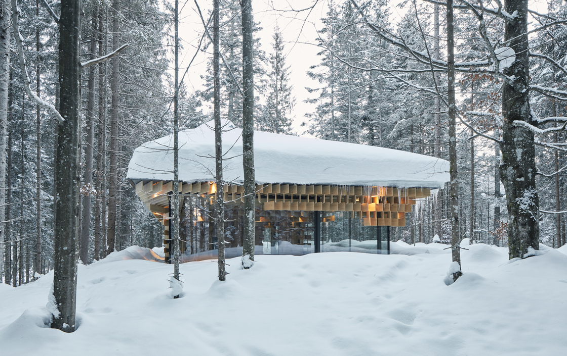 Ein Foto von David Schreyer