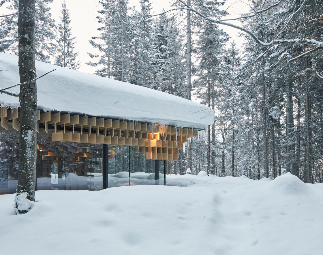 Ein Foto von David Schreyer