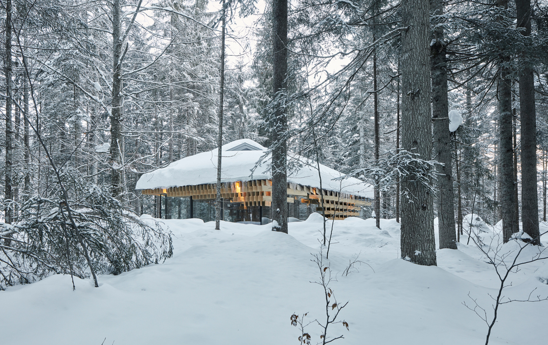 Ein Foto von David Schreyer