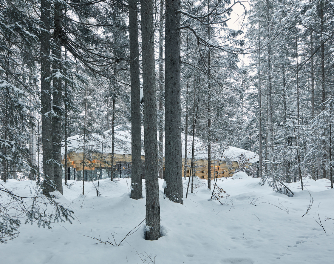 Ein Foto von David Schreyer