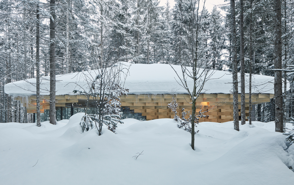 Ein Foto von David Schreyer