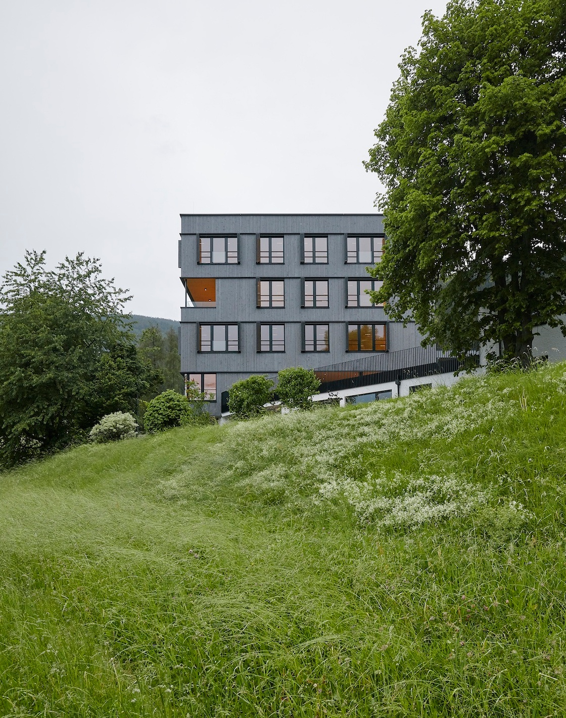 Ein Foto von David Schreyer