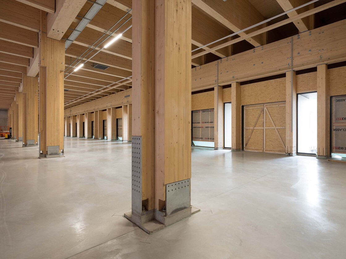 Ein Foto von Walter Ebenhofer