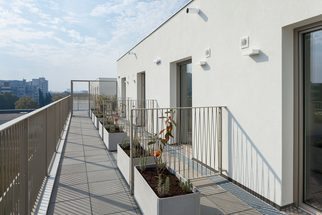 Ein Foto von Rupert Steiner