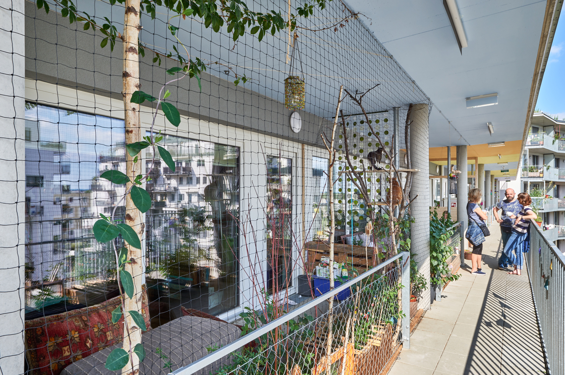 Ein Foto von Andreas Buchberger