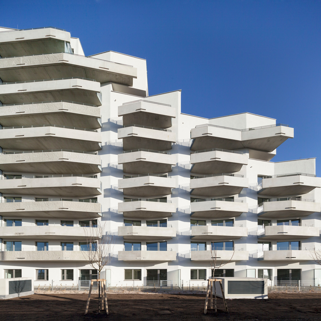 Ein Foto von Rupert Steiner