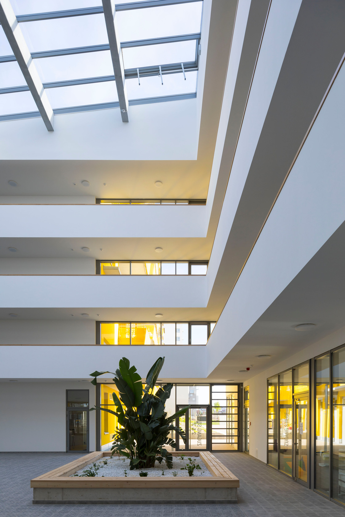 Ein Foto von Rupert Steiner