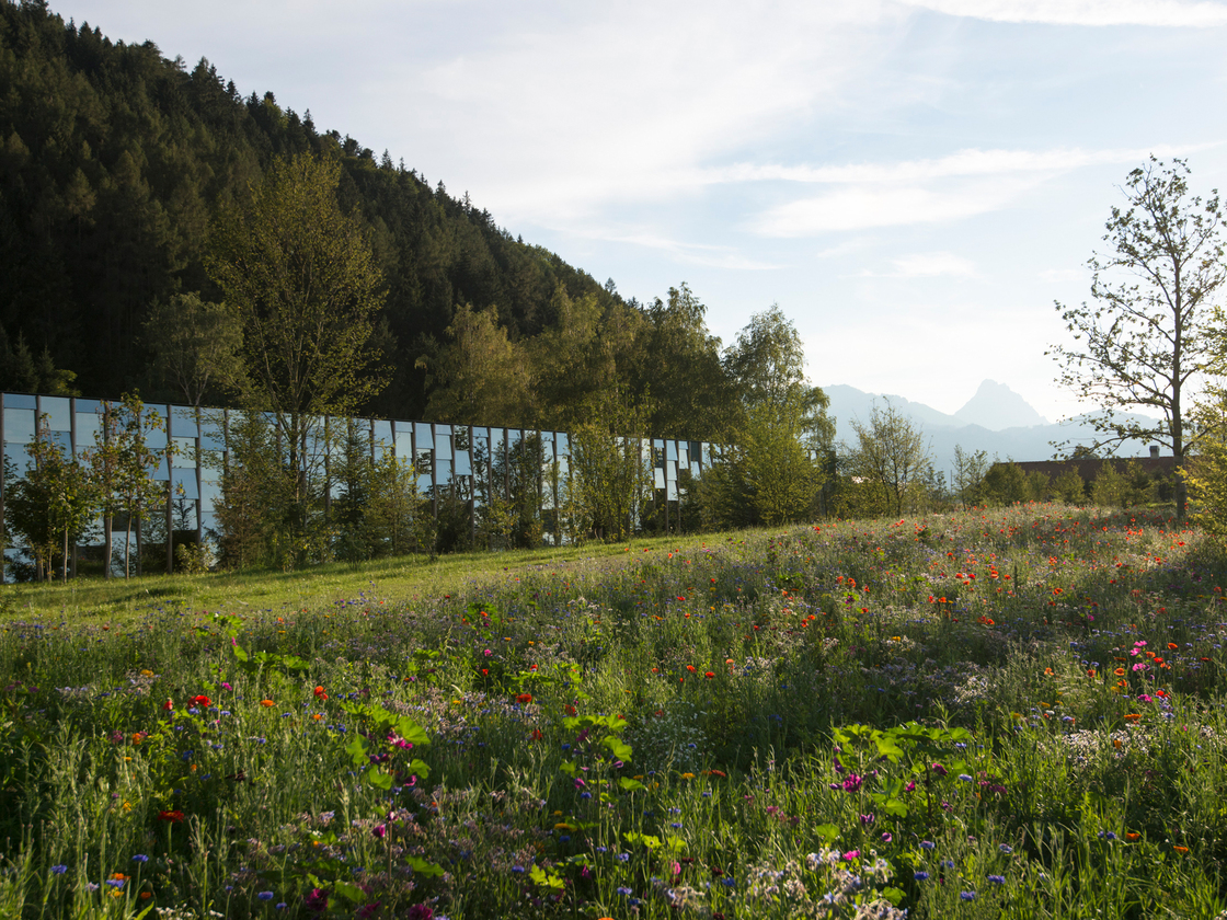 Ein Foto von Jan Schünke