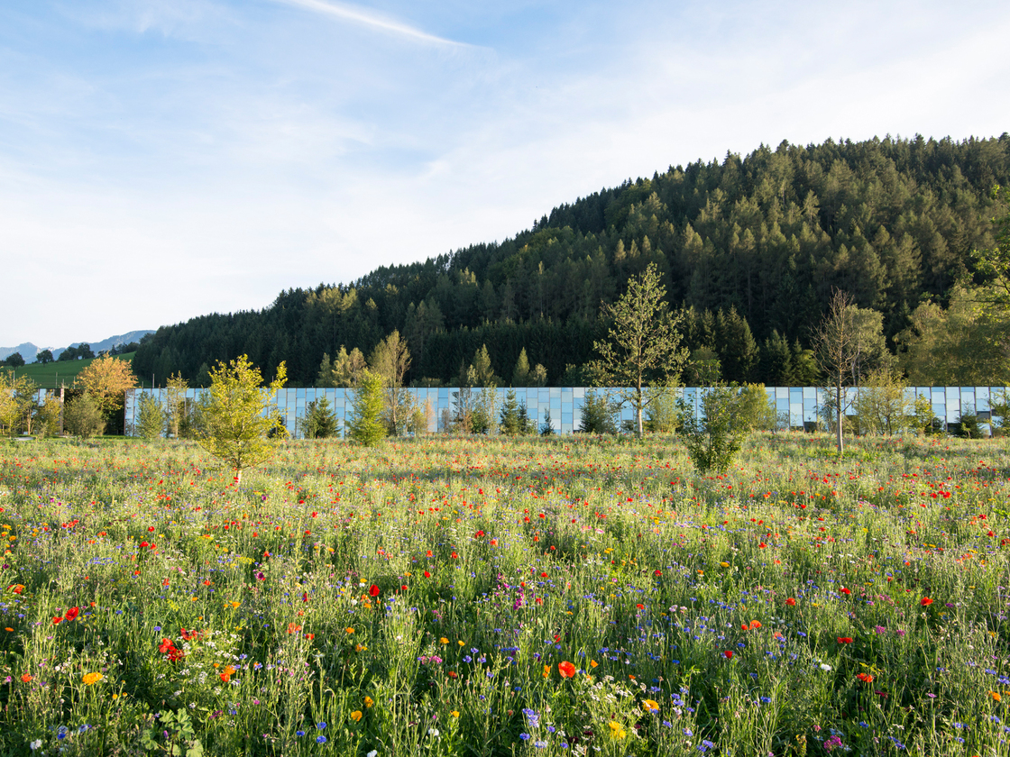 Ein Foto von Jan Schünke