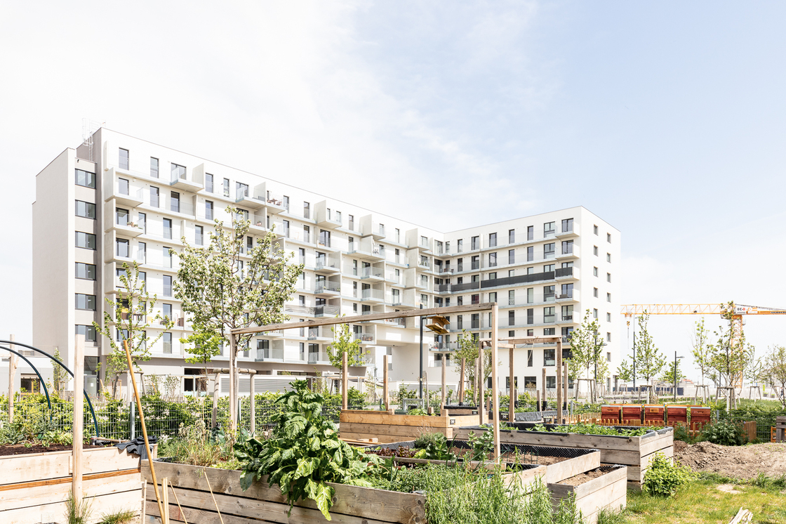 Ein Foto von tschinkersten