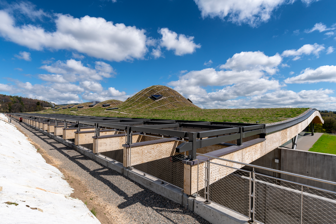 Ein Foto von Joas Souza